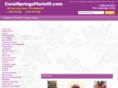 coralspringsfloristfl.com