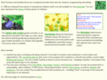 evolutionaryarts.com