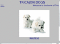 tricajon.com