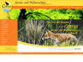 coyote-teaching.info