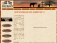 lonetreebibleranch.com