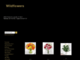 wildflowersfloristky.com