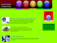 customscaleprogram.com