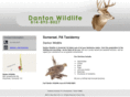 dantonwildlifecreations.com