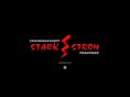fz-starkstrom.com