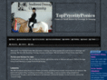 toppryorityponies.com