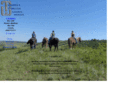 twhorse.com
