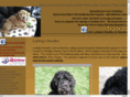 ludwigsgoldendoodles.com