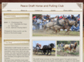 thedrafthorseclub.com