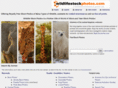wildlifestockphotos.com