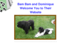tuckersdoghouse.com