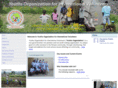 youthsinternationalvolunteers.org