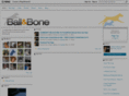 ballanbone.com