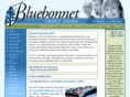 bluebonnetcu.com