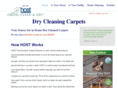 drycleaningcarpets.com