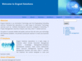 engnetsol.com