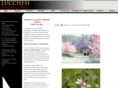lucchesivineyards.com
