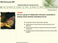 midpeninsuladbt.com