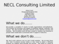 necl-it.com