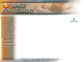 apacetoledo.org