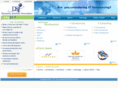 dsinv.com