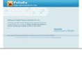 paladinchemicals.com