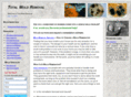 totalmoldremoval.com