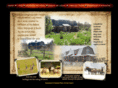 blackhillshome.com