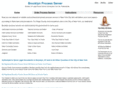 brooklynprocessserver.com