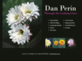 danperinart.com