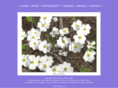 sunshinephotodesign.com