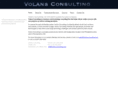 volans-consulting.com