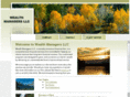 wealthmanagersllc.com