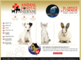 animalhospitalofmebane.com
