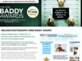 baddyawards.com