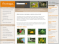 rostochek.ru