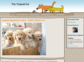 thetropicalhut.info