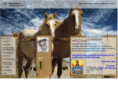 janetsquires.com