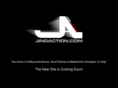 jingaction.com