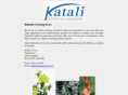 katalienterprise.com