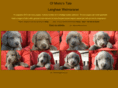 langhaarweimaraner.com