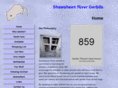 shawsheenrivergerbils.com