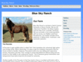 blueskyperuvians.com