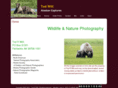 alaskancaptures.com