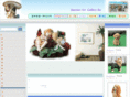 gallerysai.com