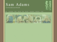 adamsrolfingnyc.com