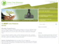 greentreesteamers.com