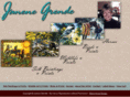 janenegrende.com