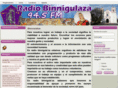 radiobinnigulaza.com