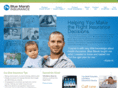 bluemarsh.com